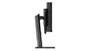 LENOVO ThinkVision P49w-30 | 49" Curved Monitor |  - Ansicht 7