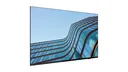 Lenovo ThinkVision E55 | 55" Display | HDR10