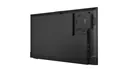 Lenovo ThinkVision E55 | 55" Display | HDR10 - Ansicht 6
