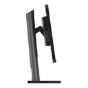 Lenovo ThinkVision P25i-30 | 24,5" Monitor | Full  - Ansicht 5